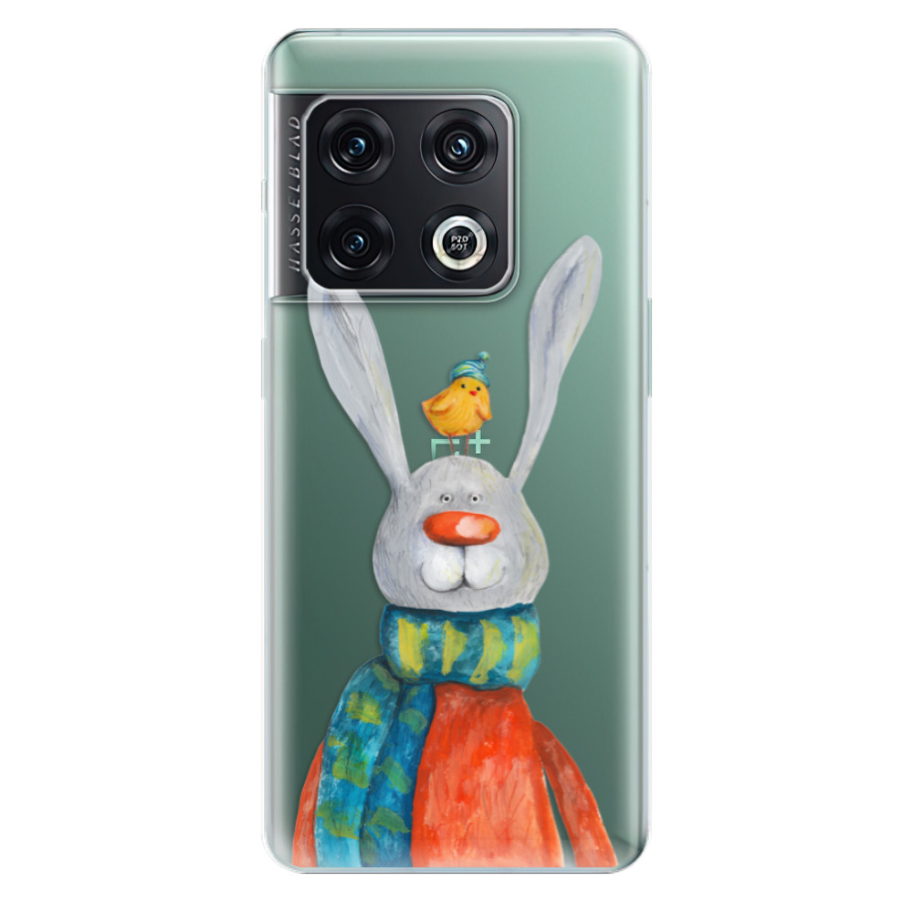 Odolné silikonové pouzdro iSaprio - Rabbit And Bird - OnePlus 10 Pro