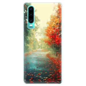 Silikonové pouzdro iSaprio - Huawei P30 - Podzim 03