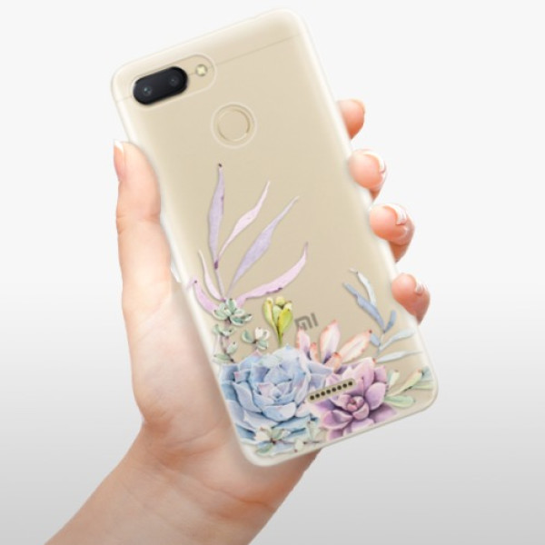 Silikonové pouzdro iSaprio - Xiaomi Redmi 6 - Succulent 01