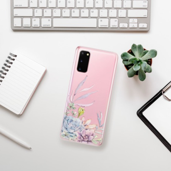 Silikonové pouzdro iSaprio - Samsung Galaxy S20 - Succulent 01