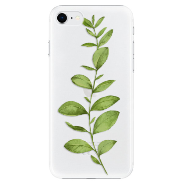 Plastové pouzdro iSaprio - Green Plant 01 - iPhone SE 2020