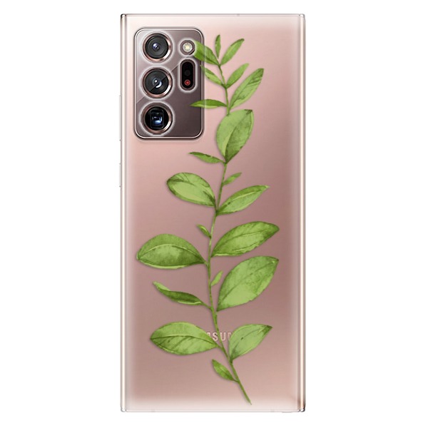 Odolné silikonové pouzdro iSaprio - Green Plant 01 - Samsung Galaxy Note 20 Ultra