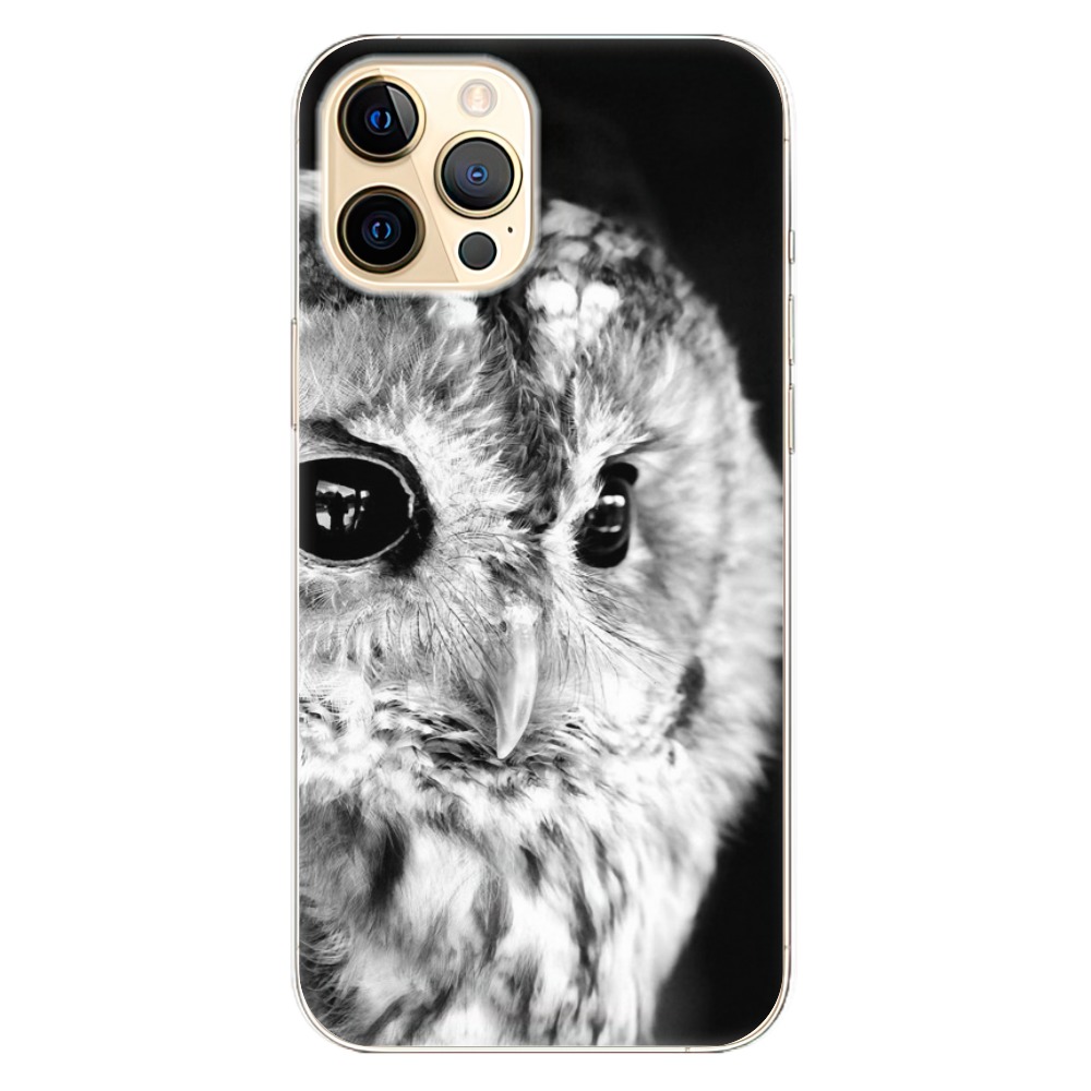 Odolné silikonové pouzdro iSaprio - BW Owl - iPhone 12 Pro Max