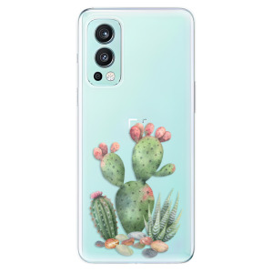 Silikonové odolné pouzdro iSaprio - Cacti 01 na mobil OnePlus Nord 2 5G